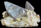 Dogtooth Calcite Crystal Cluster - Morocco #50200-2